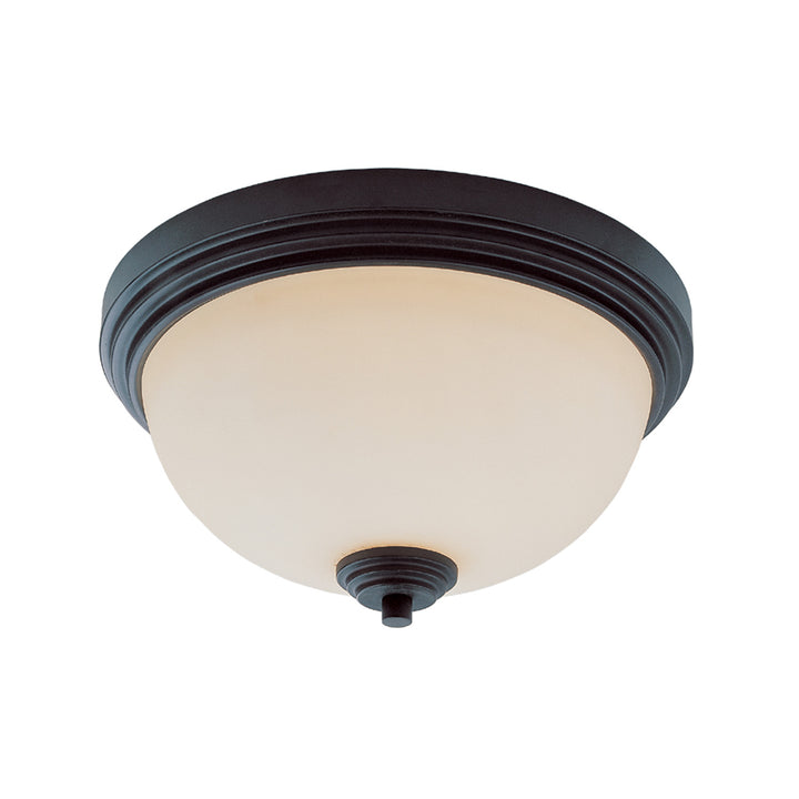 Z-lite  314F2-BRZ Ceiling Light