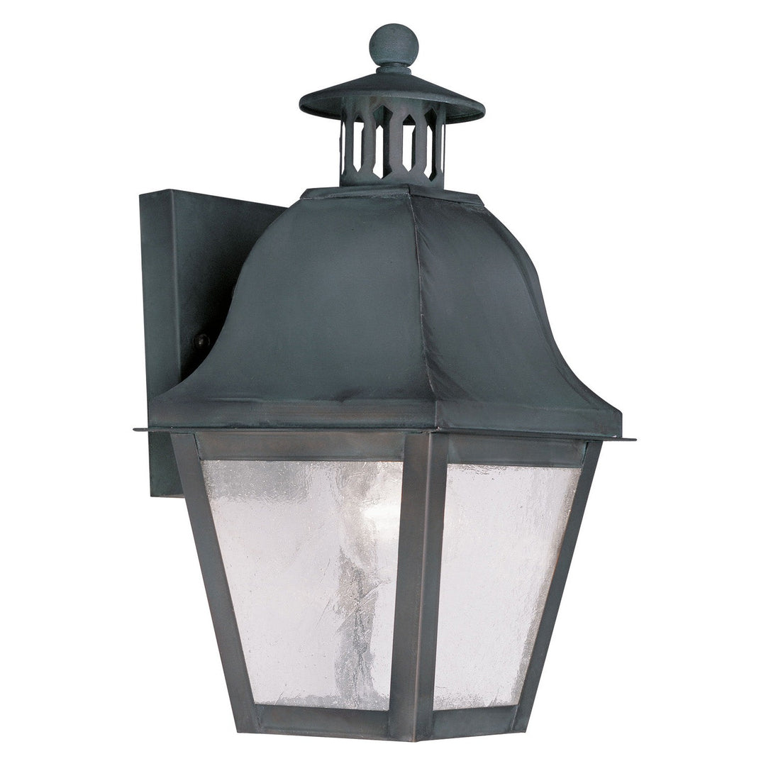 Livex Lighting 2550-61  Amwell Outdoor Charcoal