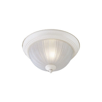 Minka-Lavery Energy Star 828-86-PL Ceiling Light - Textured White