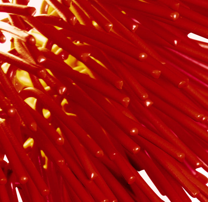 Varaluz Urchin 169P01RE Pendant Light - Super Red