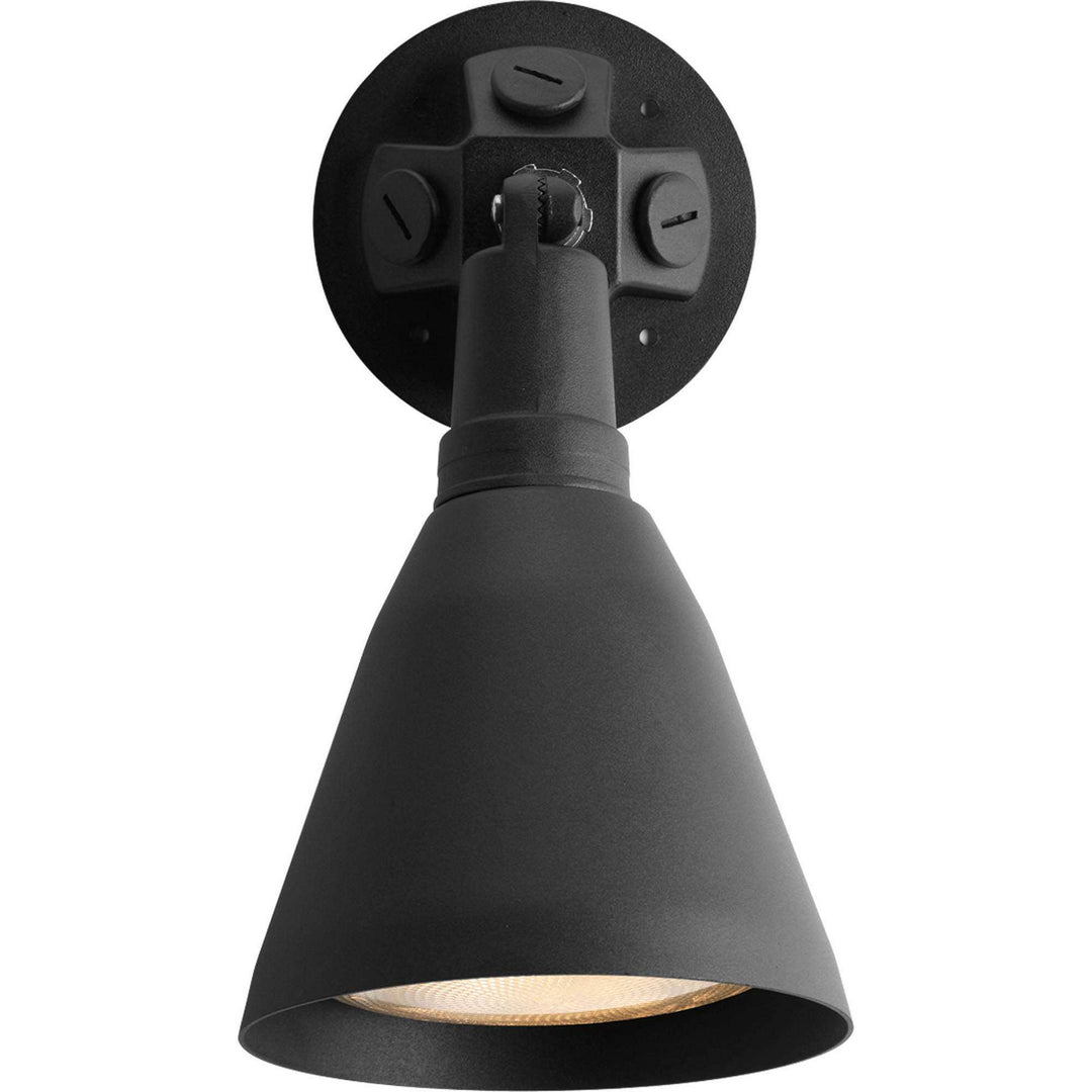 Progress Lighting P5202-31 Par Lampholder One Light Wall Lantern Landscape Light Black