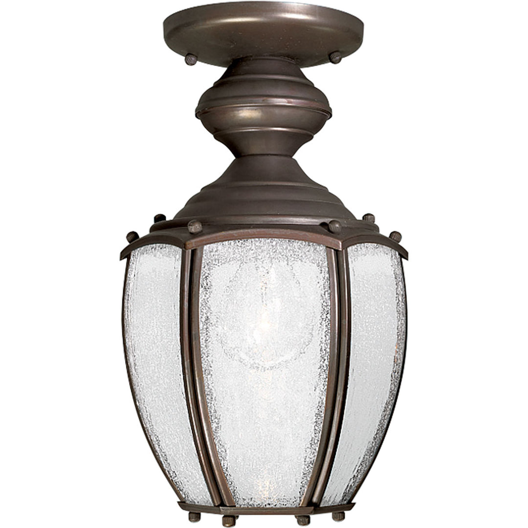 Progress Lighting P5565-20 Roman Coach One Light Lantern Outdoor Bronze / Dark