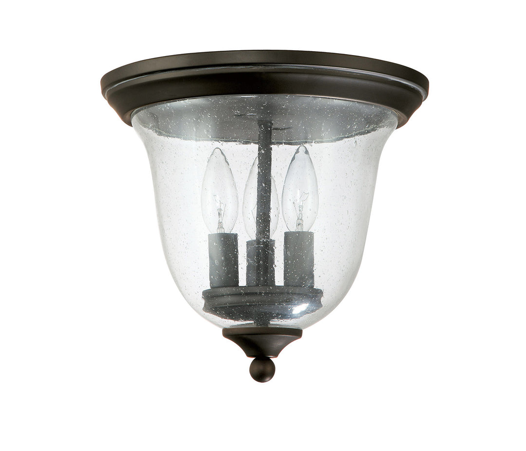 Capital Lighting 9541OB  Outdoor Outdoor Old Bronze