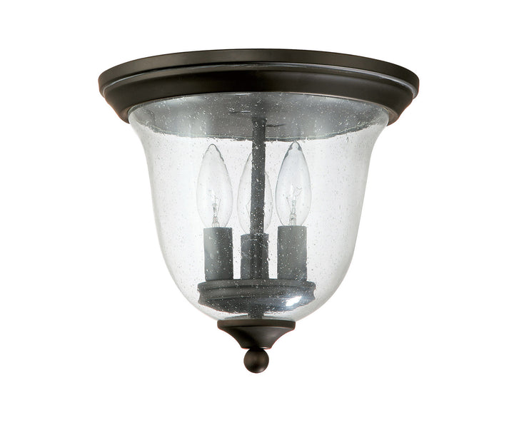 Capital Lighting 9541OB  Outdoor Outdoor Old Bronze