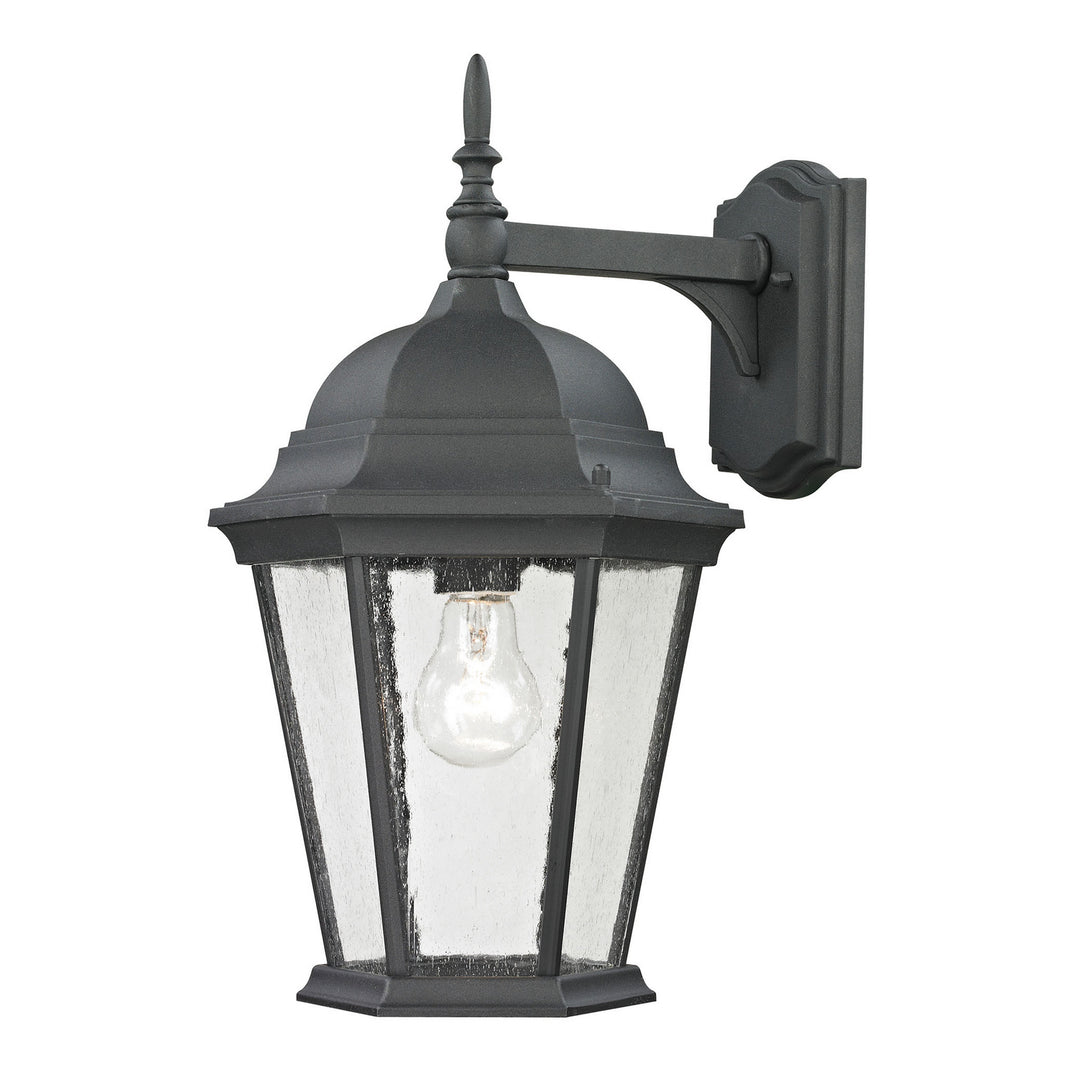 Elk Lighting 8101EW/65  Temple Hill Outdoor Matte Textured Black