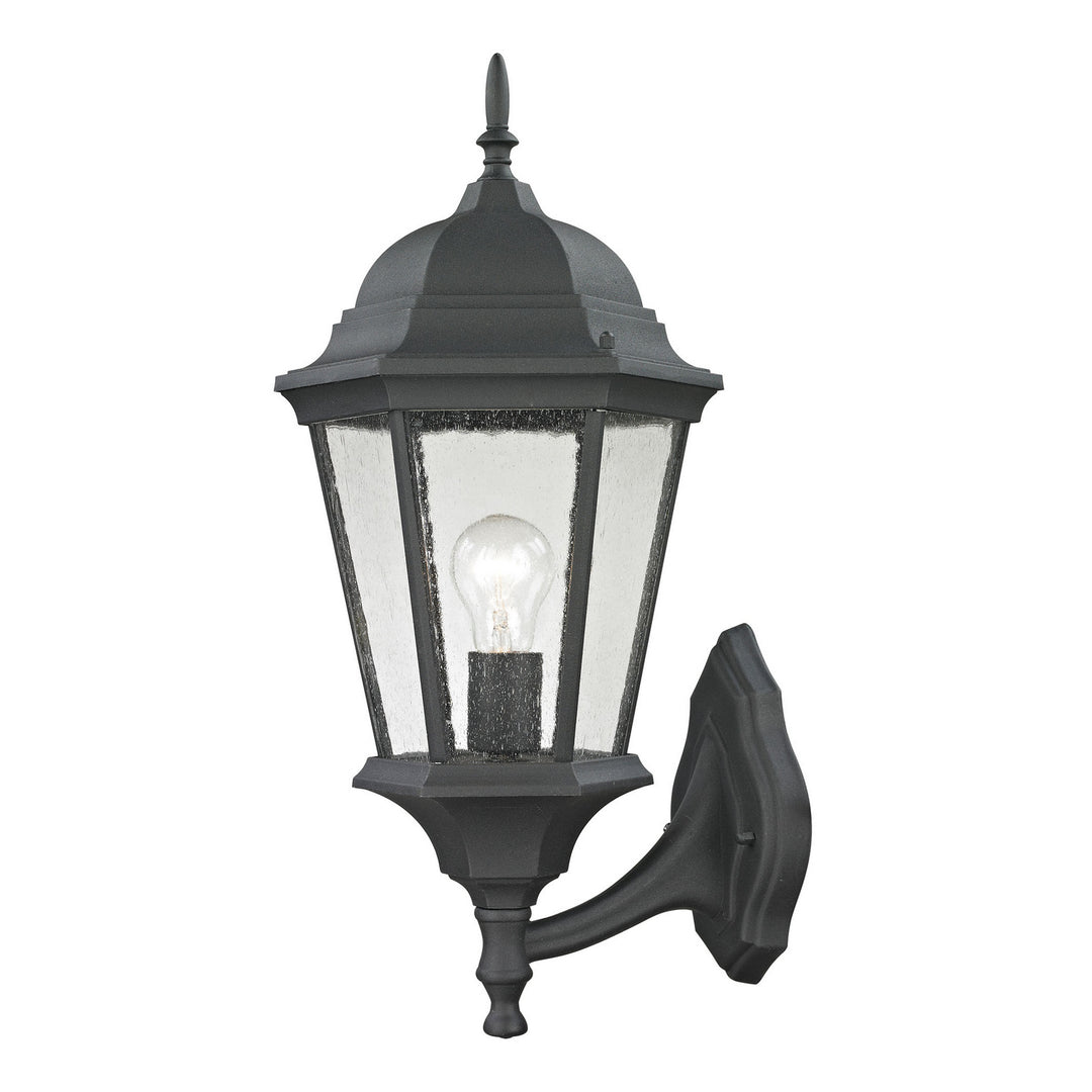 Elk Lighting 8111EW/65  Temple Hill Outdoor Matte Textured Black