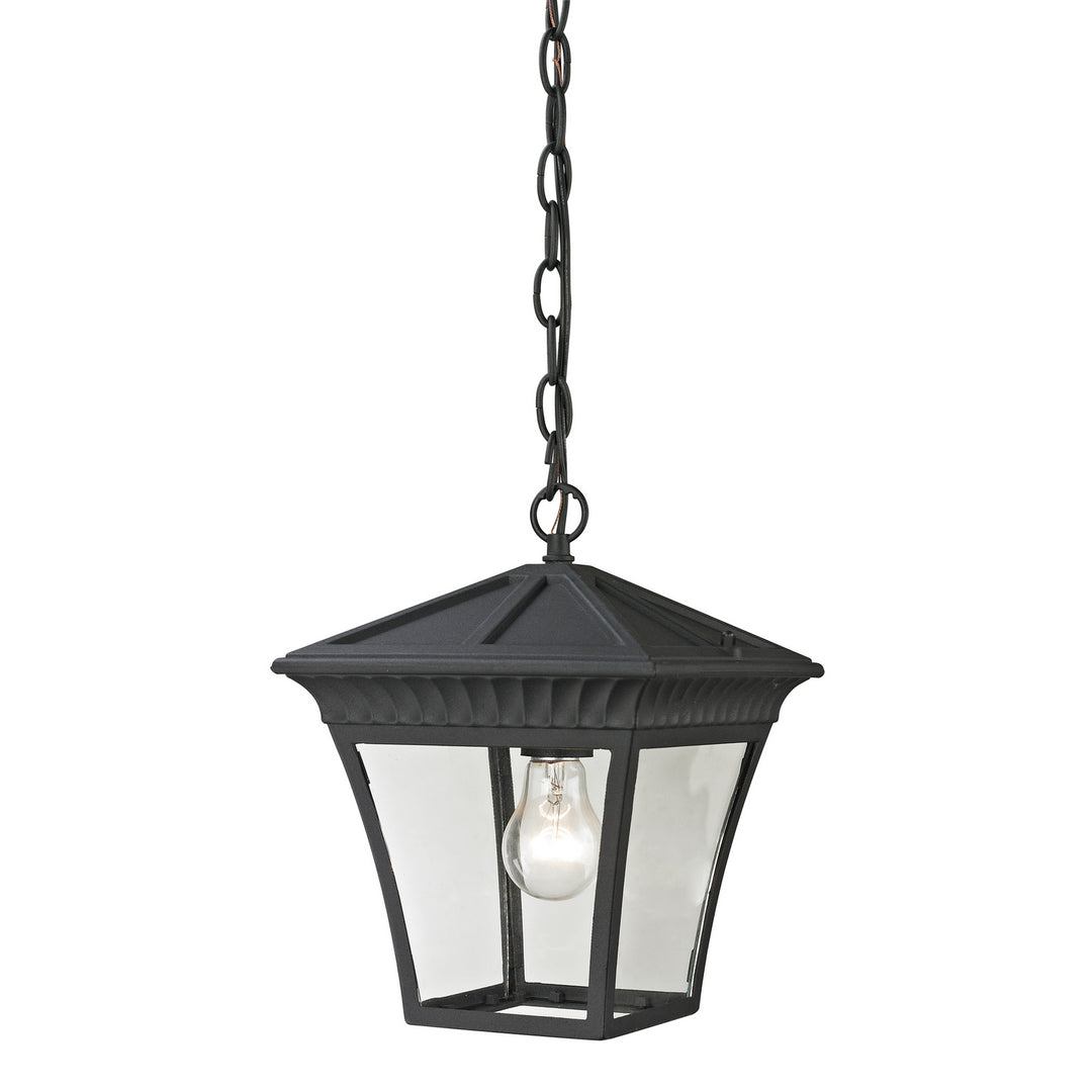 Elk Lighting 8411EH/65  Ridgewood Outdoor Matte Textured Black