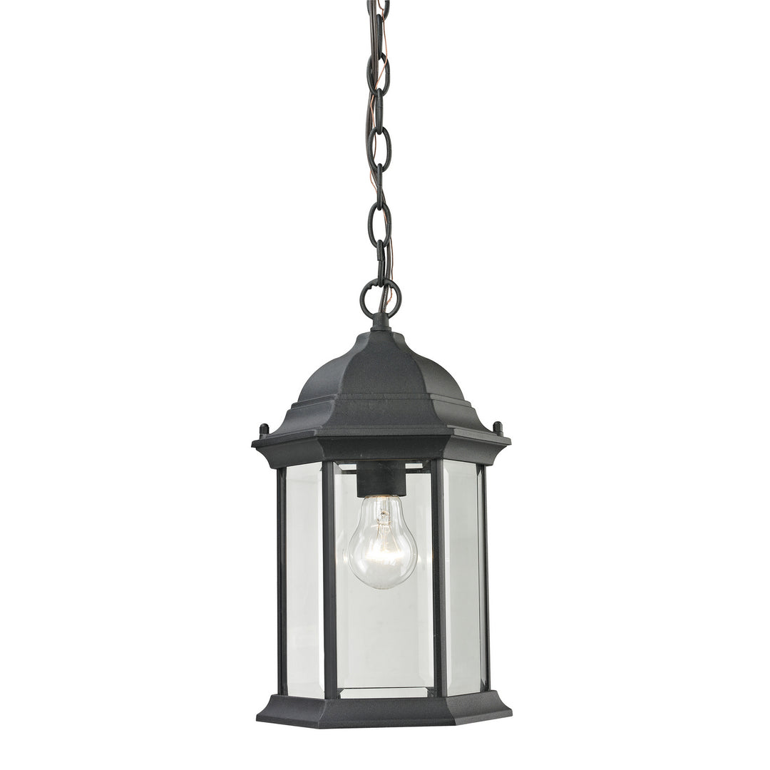 Elk Lighting 8601EH/65  Spring Lake Outdoor Matte Textured Black