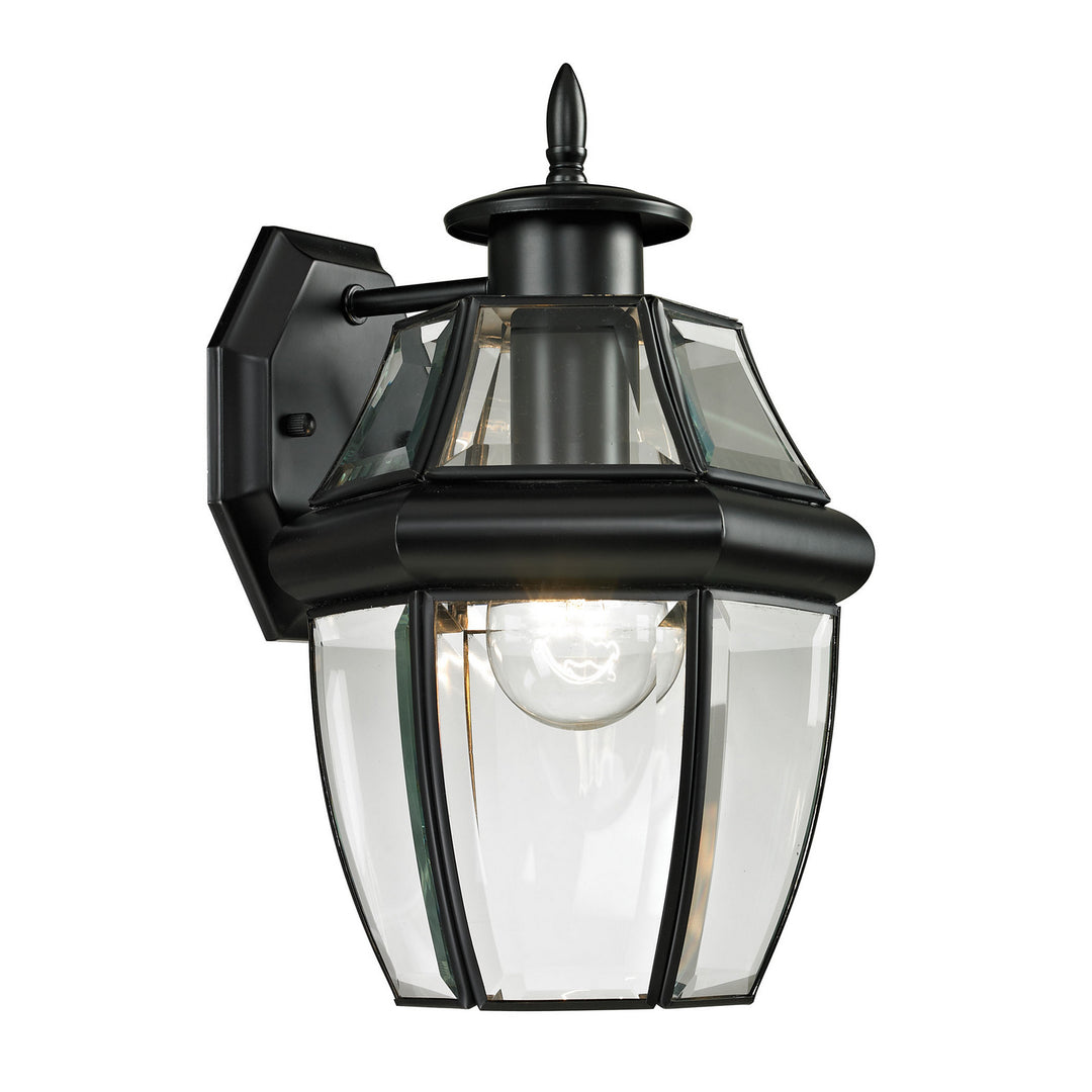 Elk Lighting 8601EW/60  Ashford Outdoor Black