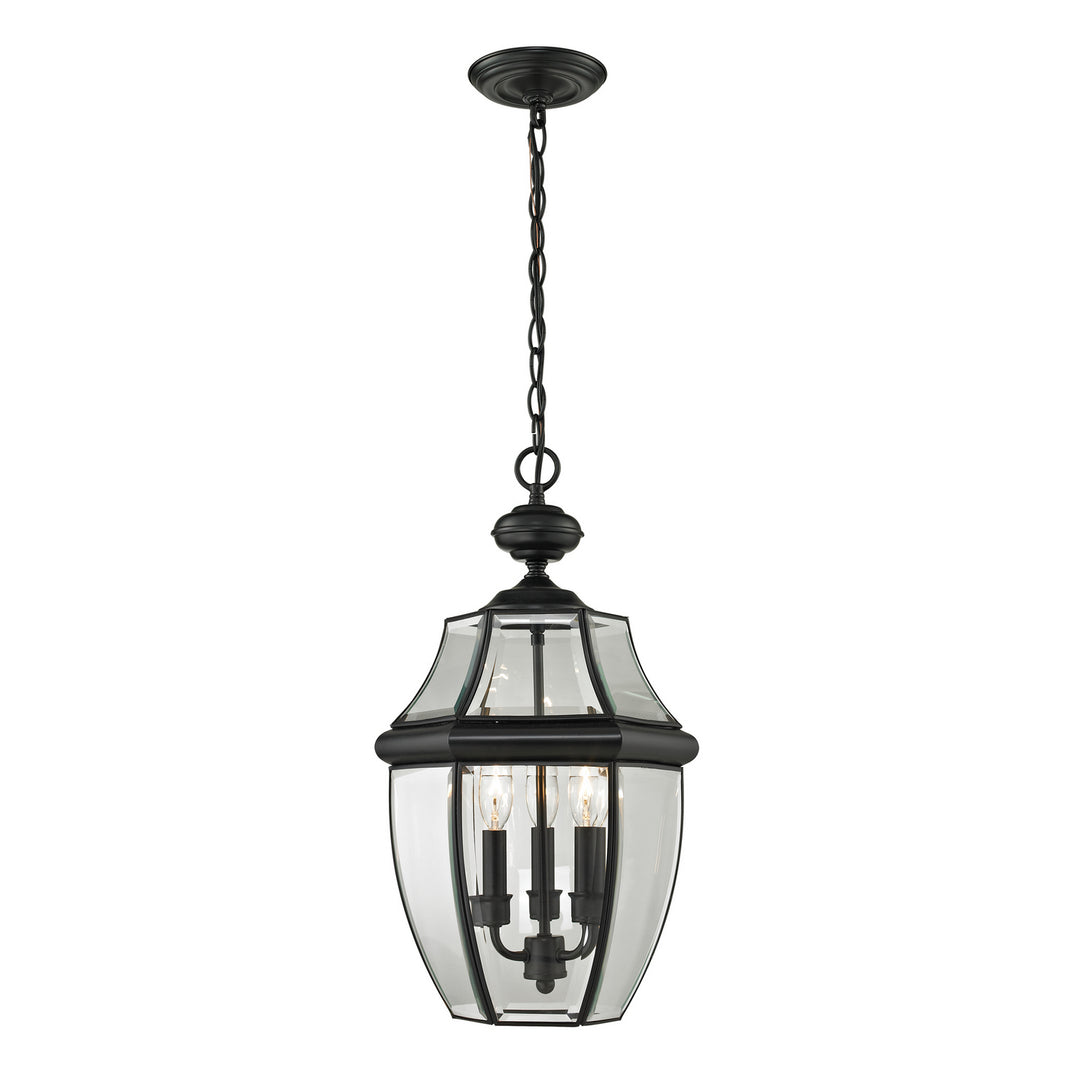 Elk Lighting 8603EH/60  Ashford Outdoor Black