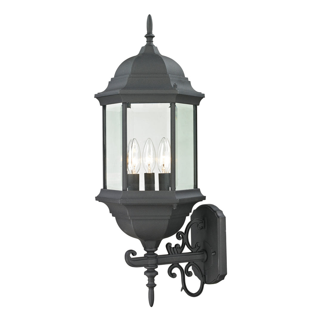 Elk Lighting 8603EW/65  Spring Lake Outdoor Matte Textured Black