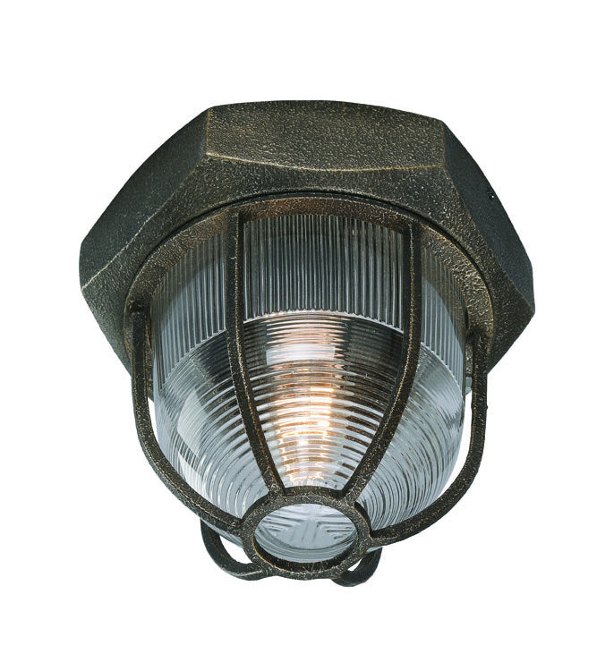 Troy Acme C3890-APW Ceiling Light - Aged Silver