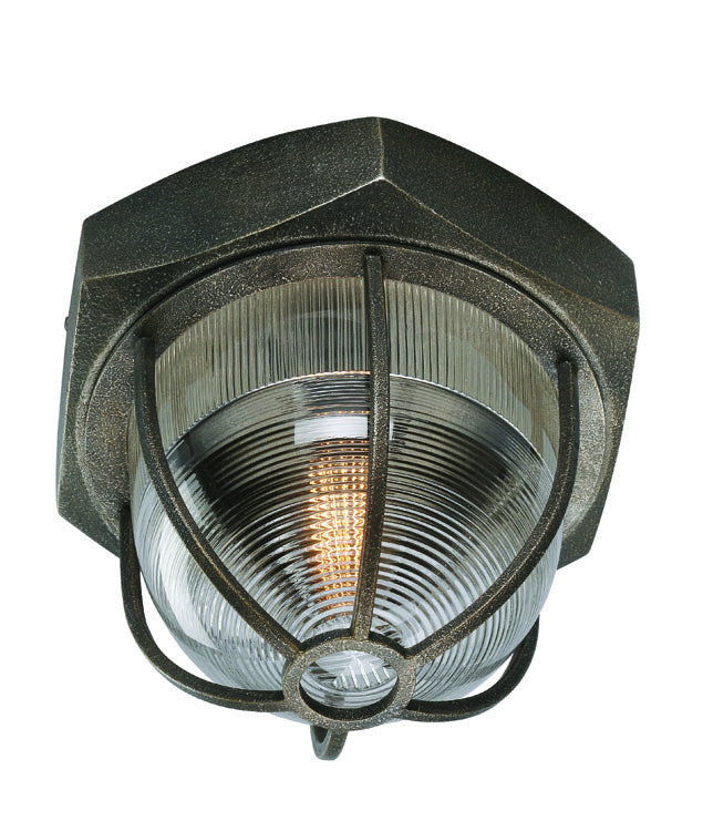 Troy Acme C3891-APW Ceiling Light - Aged Silver