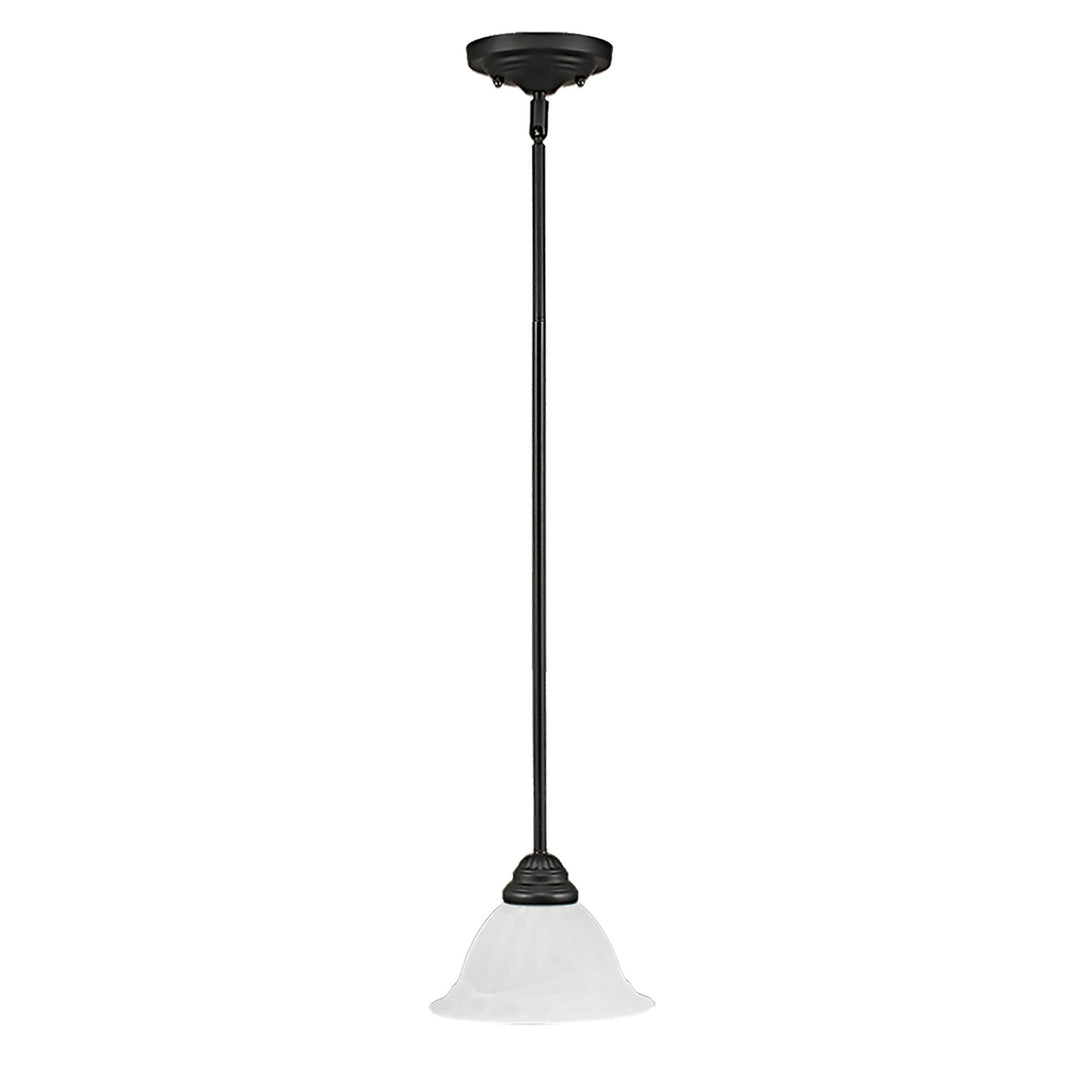 Millennium 1701-BK Pendant Light - Black