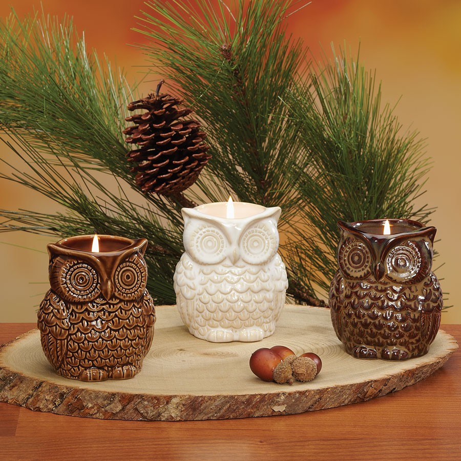 Decoflair & Decoglow ASP1741 Owl Owl Candle Asst Home Decor Bronze / Dark