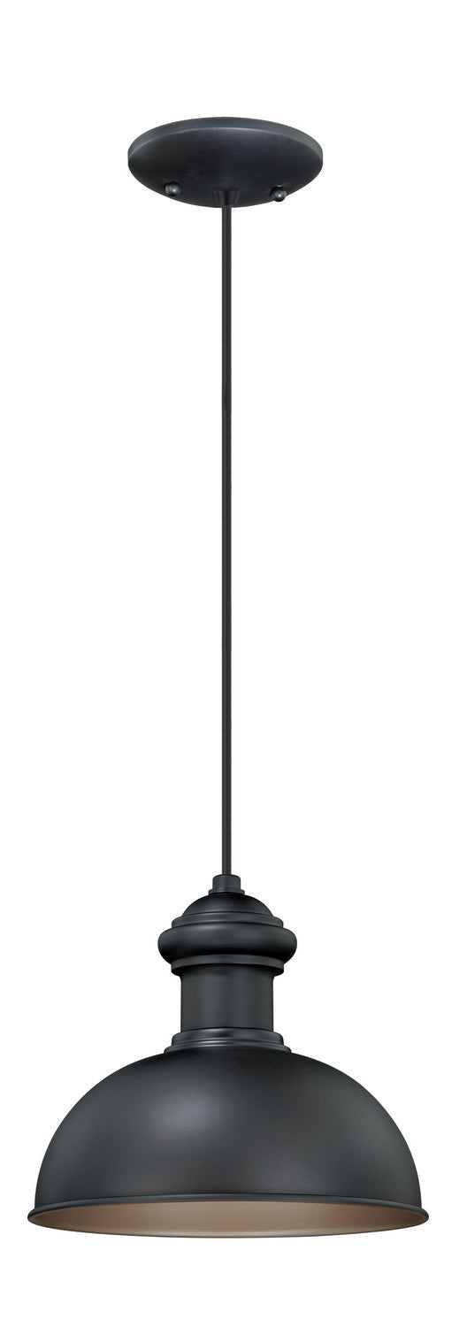 Vaxcel Lighting T0152 Franklin One Light Outdoor Pendant Outdoor Two-Tone