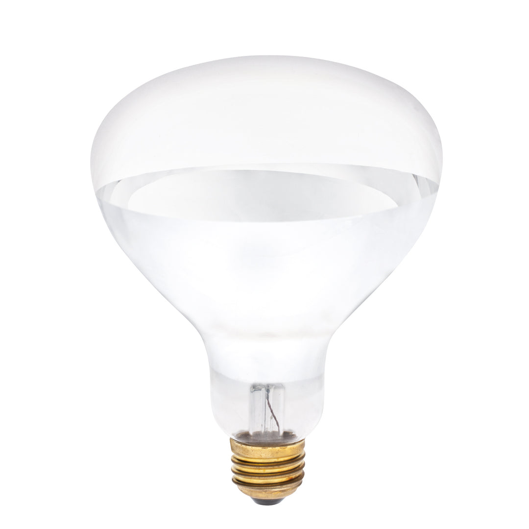 Westinghouse Lighting 0348400 Light Bulb Light Bulb Clear