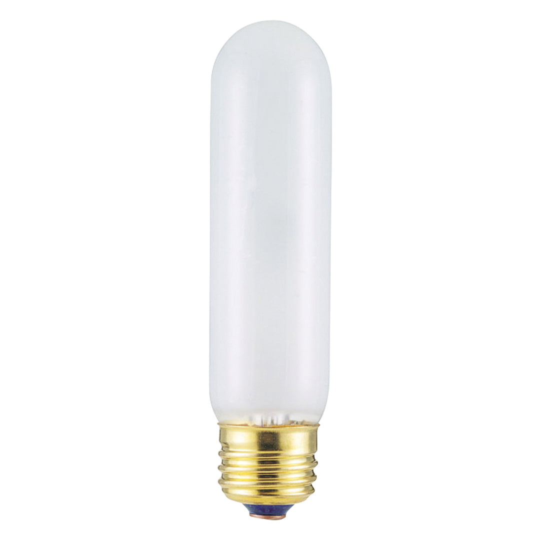 Westinghouse Lighting 0371300  Light Bulb Light Bulb Frost