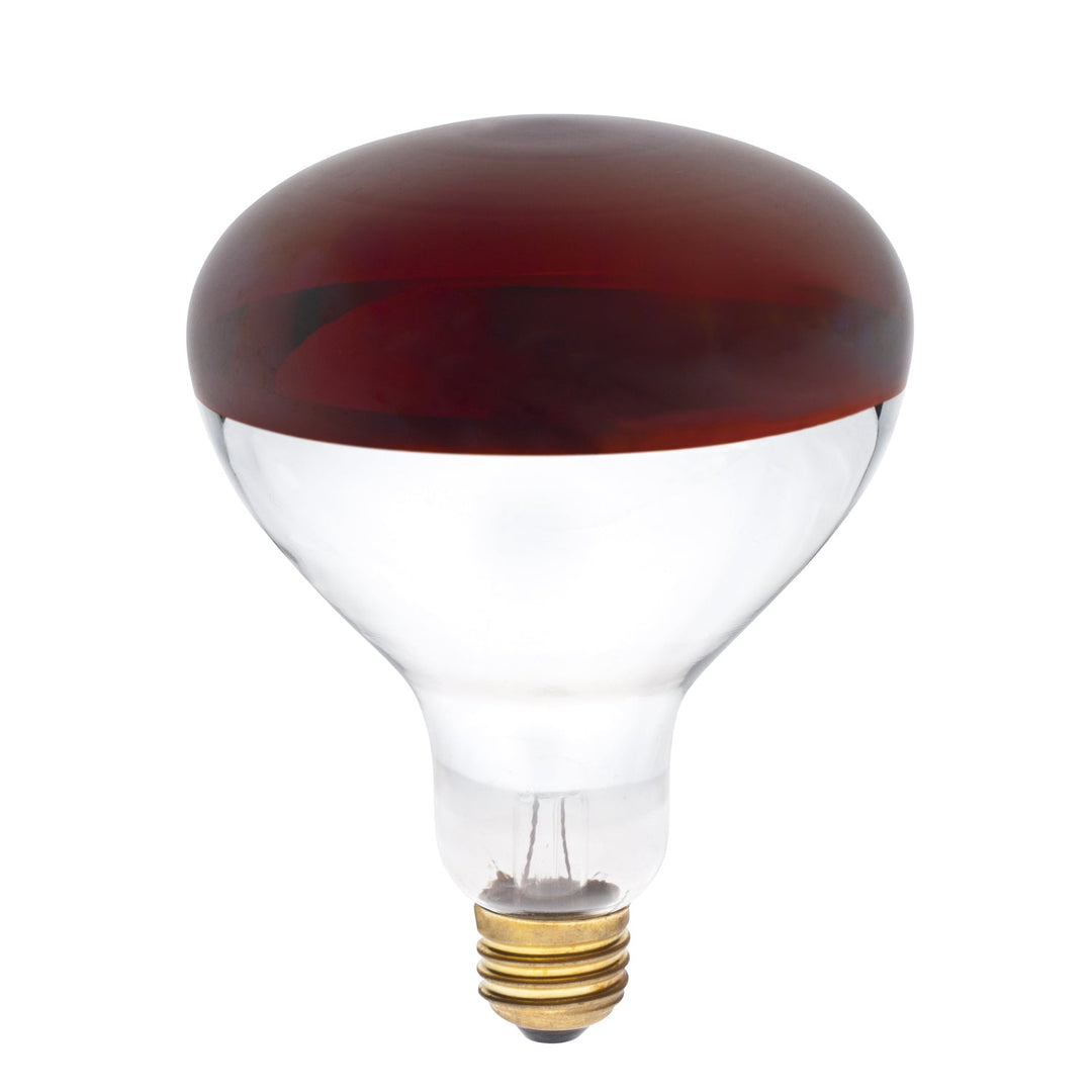 Westing House Lighting 391700 Light Bulb Light Bulb Red