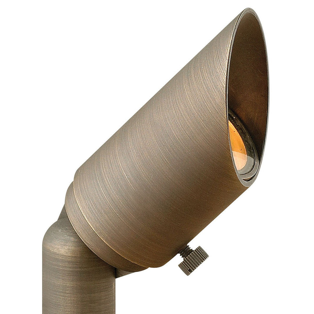 Hinkley Lighting 16501MZ-27K60 Modern Hardy Island Led Spot Landscape Light Matte Bronze