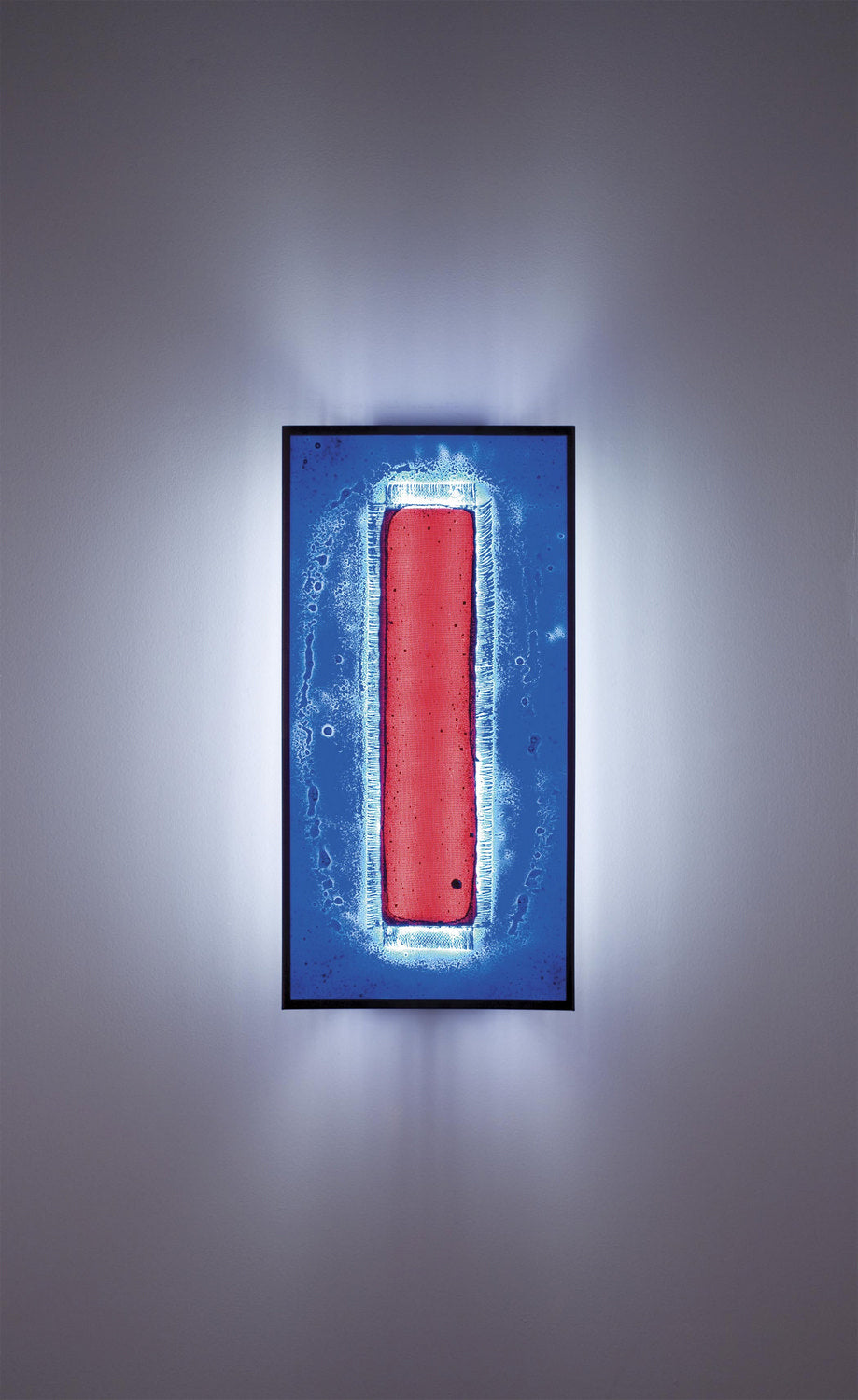 WPT Design FN FNTALL-BZ-RWB Wall Light - Bronze