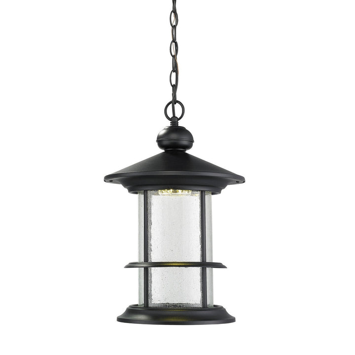 Z-Lite Lighting 552CHB-BK-LED  Genesis Outdoor Black