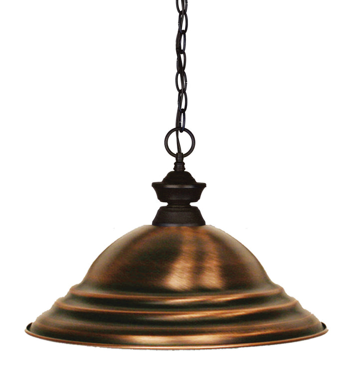 Z-Lite Shark 100701BRZ-SAC Pendant Light - Bronze