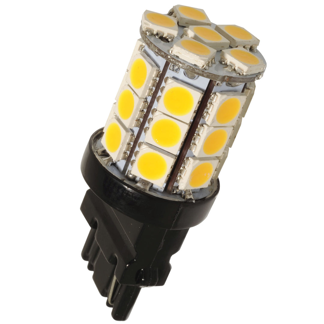 Dauer Lighting 487160  Light Bulb Light Bulb Light