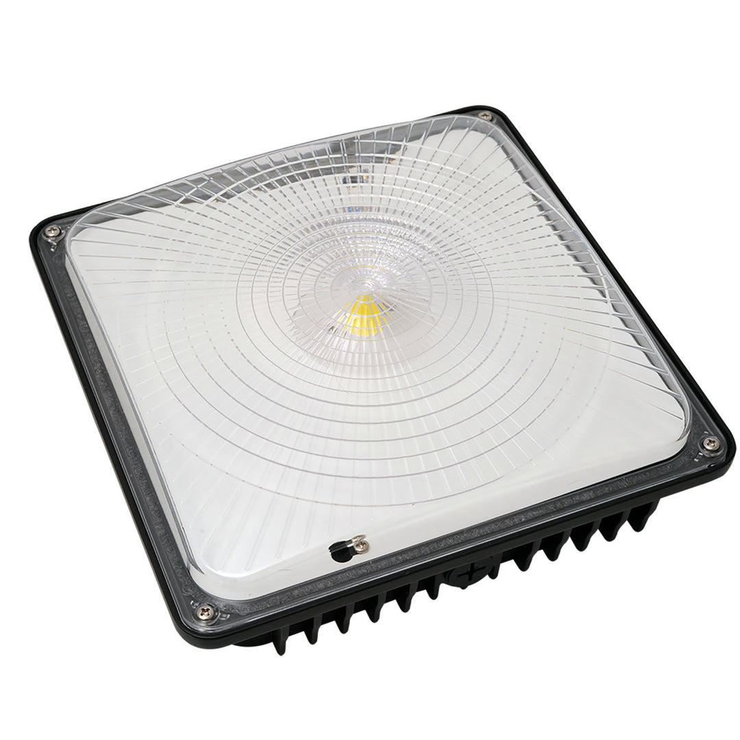 Dauer Lighting 490600  Light Bulb Decor Light