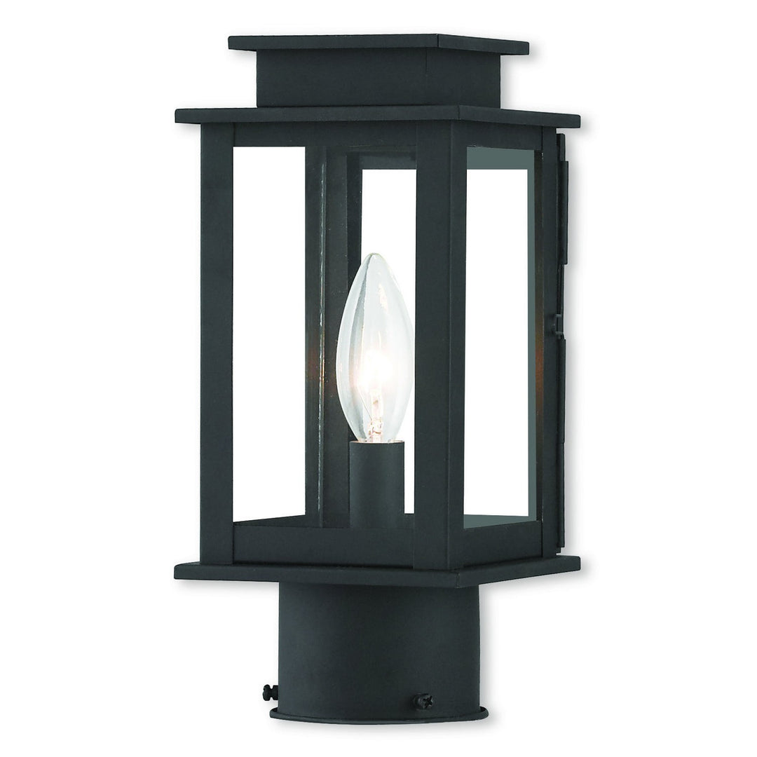 Livex Lighting 20201-04  Princeton Outdoor Black W/ Polished Chrome Stainless Steel