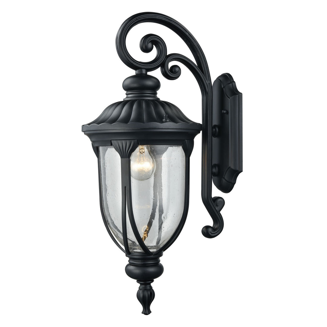 Elk Lighting 87101/1  Derry Hill Outdoor Matte Black