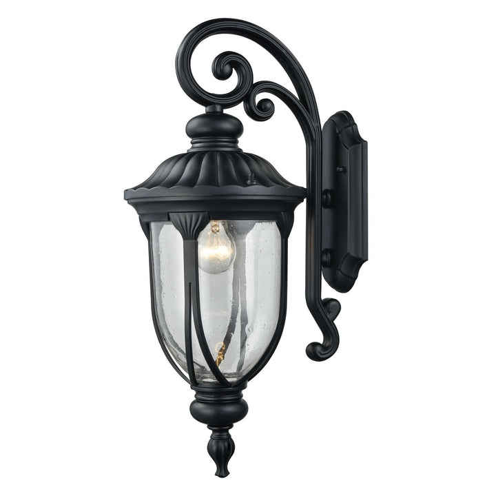 Elk Lighting 87101/1  Derry Hill Outdoor Matte Black