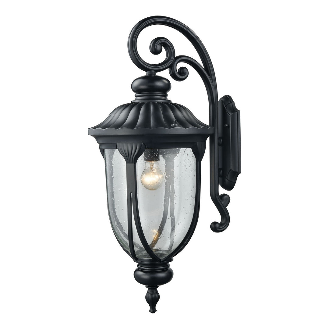 Elk Lighting 87102/1  Derry Hill Outdoor Matte Black