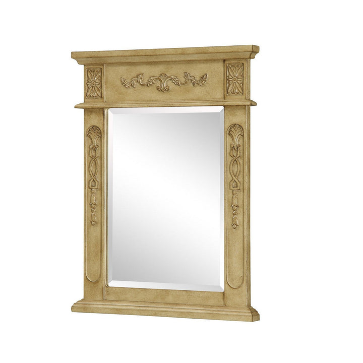 Elegant Lighting VM-1003  Danville Mirror Antique Beige