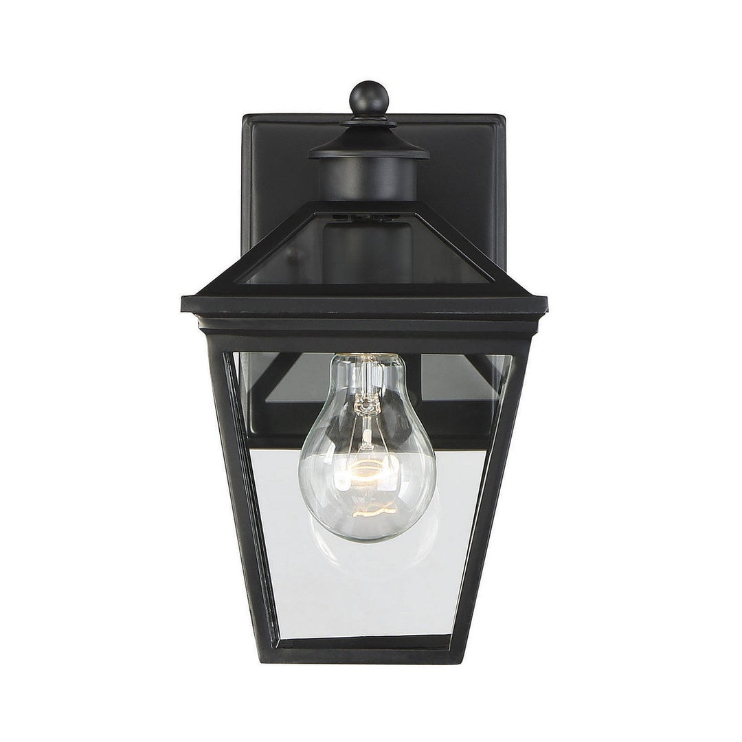 Savoy House Lighting 5-140-BK  Ellijay Outdoor Black