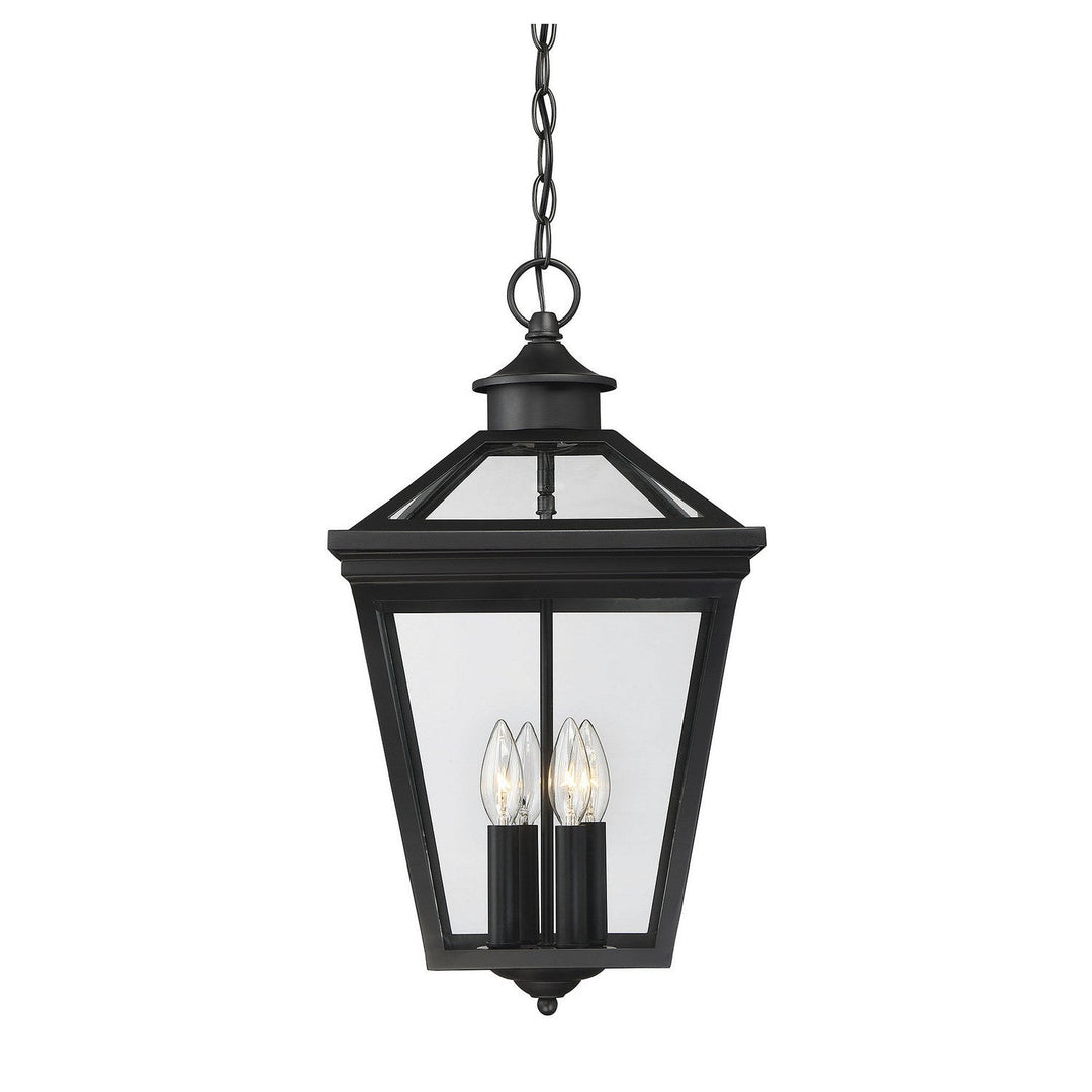 Savoy House Lighting 5-145-BK  Ellijay Outdoor Black