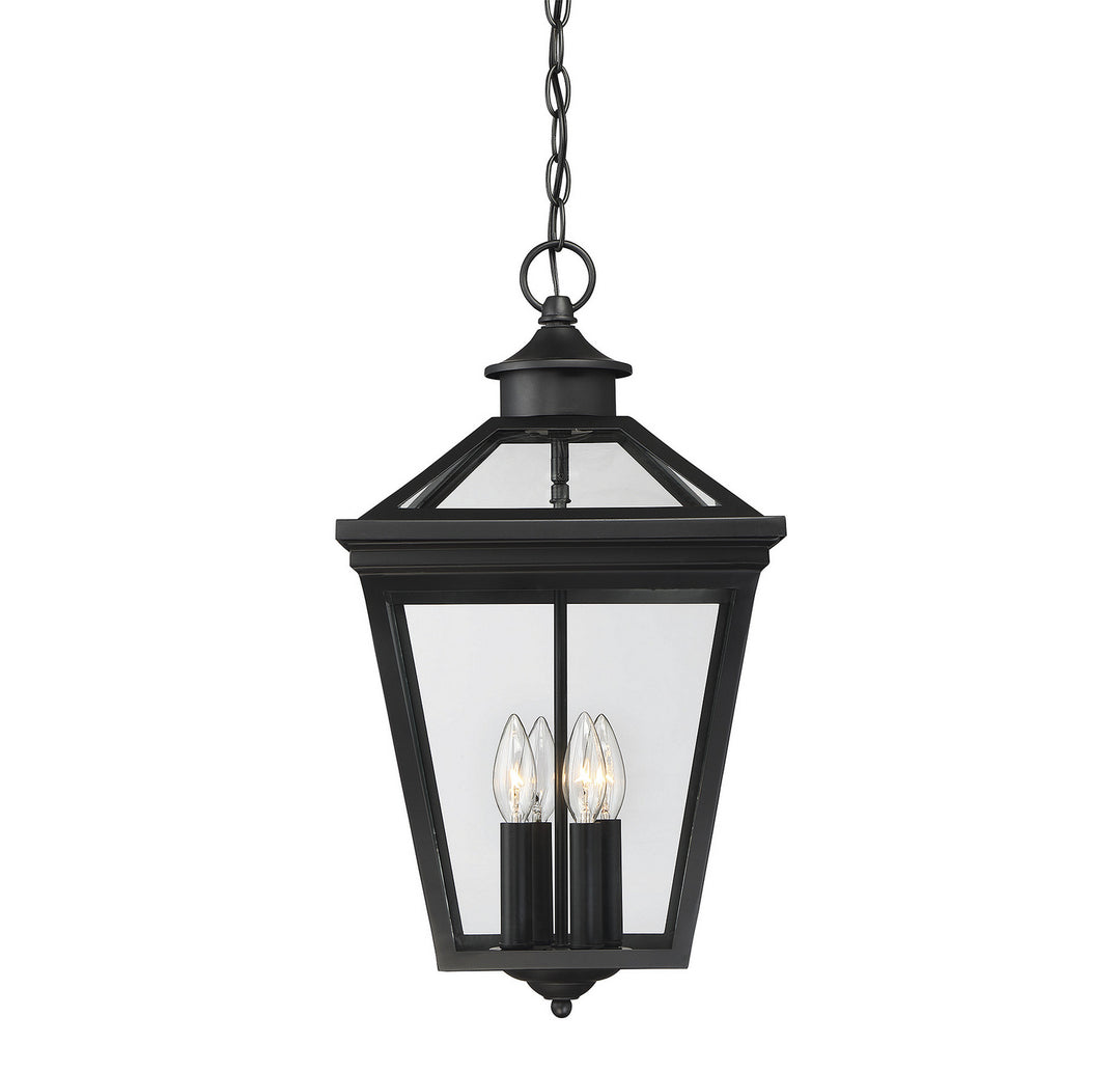 Savoy House Lighting 5-145-BK  Ellijay Outdoor Black