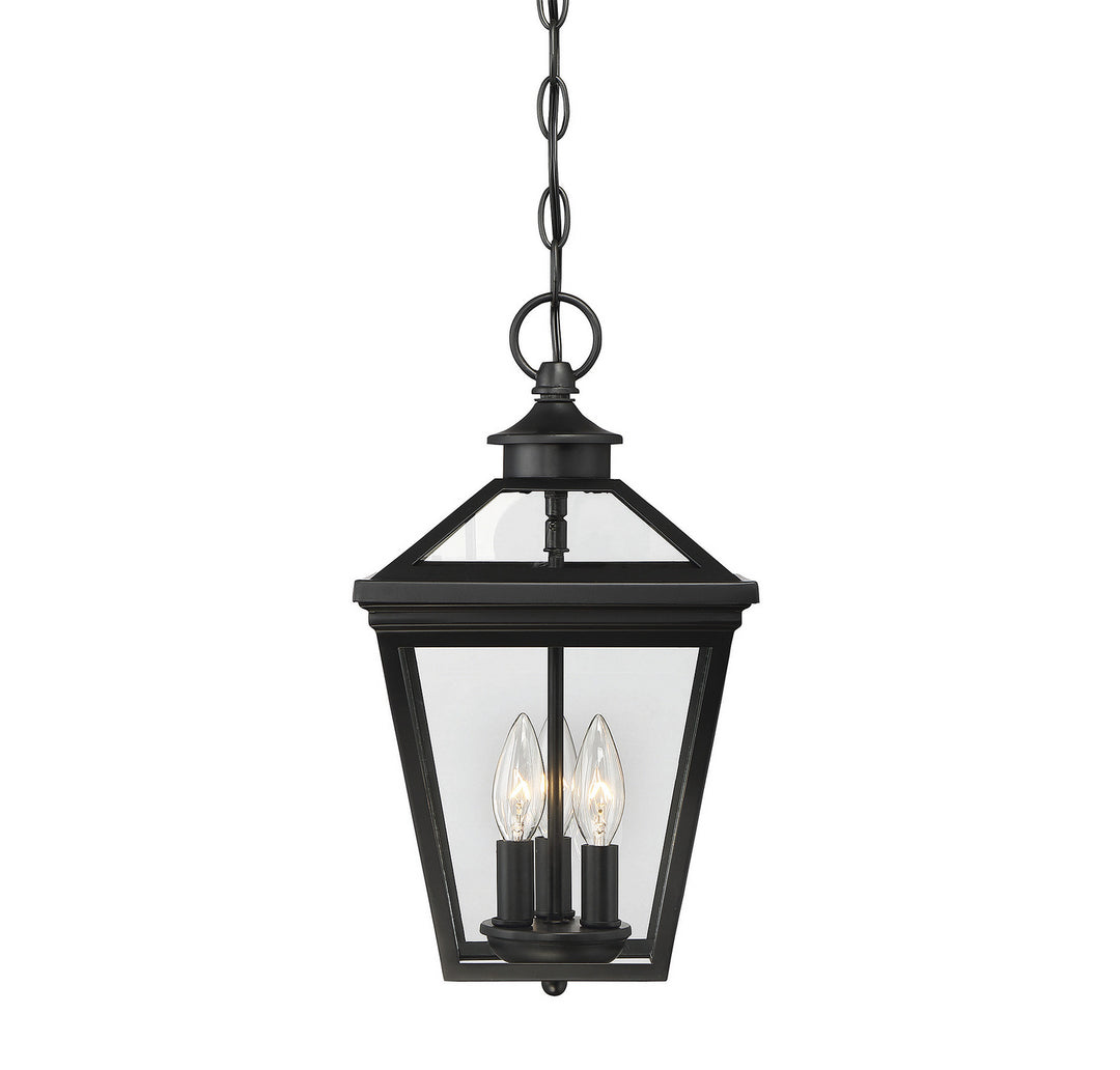 Savoy House Lighting 5-146-BK  Ellijay Outdoor Black