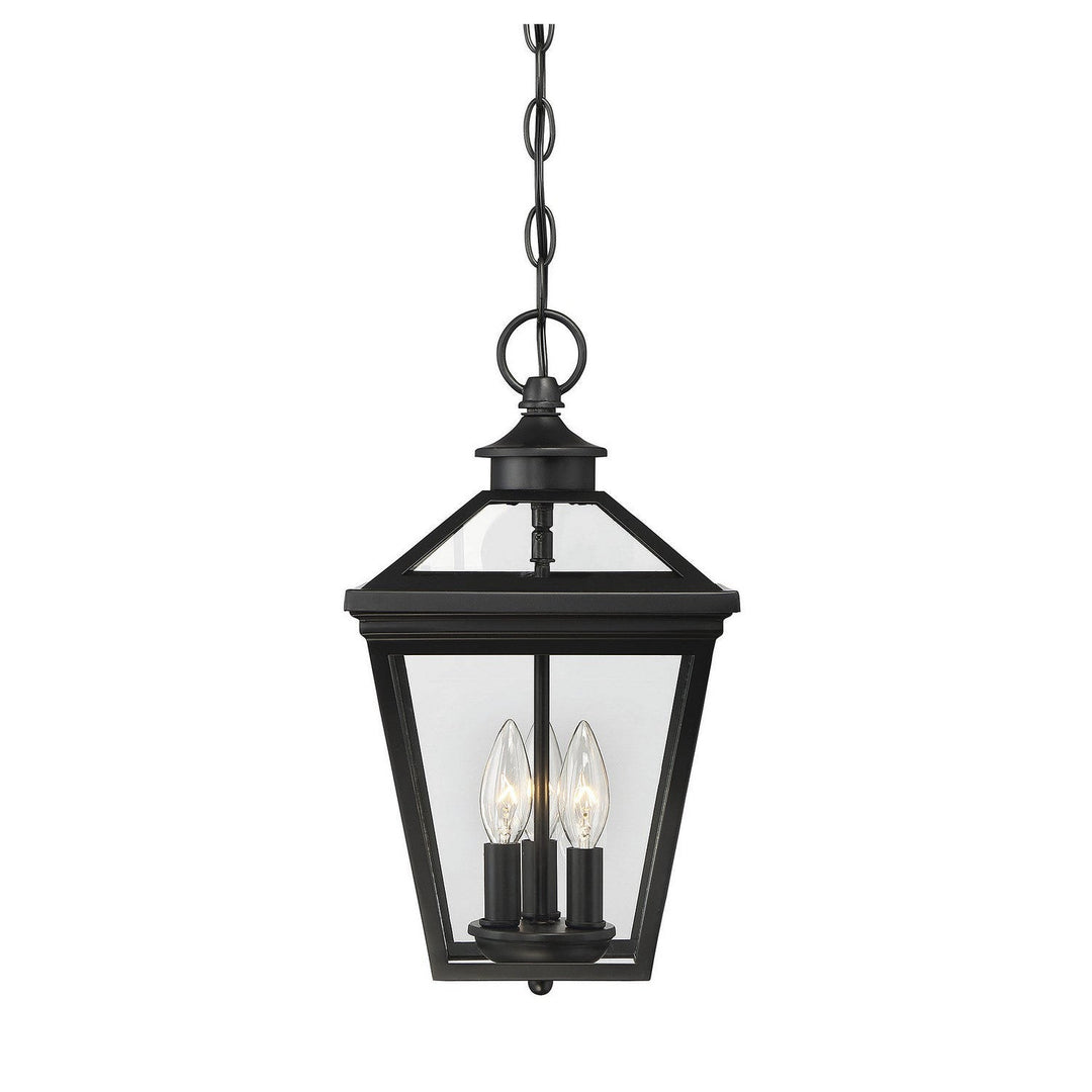 Savoy House Lighting 5-146-BK  Ellijay Outdoor Black