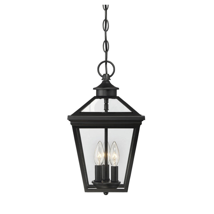 Savoy House Lighting 5-146-BK  Ellijay Outdoor Black