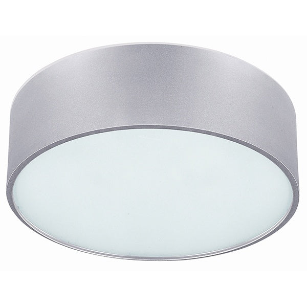 Canarm Dexter IFM318A13AL Ceiling Light - Aluminum