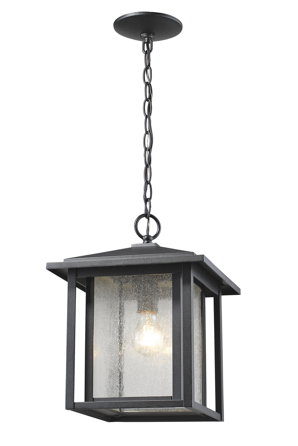 Z-Lite Lighting 554CHB-BK  Aspen Outdoor Black