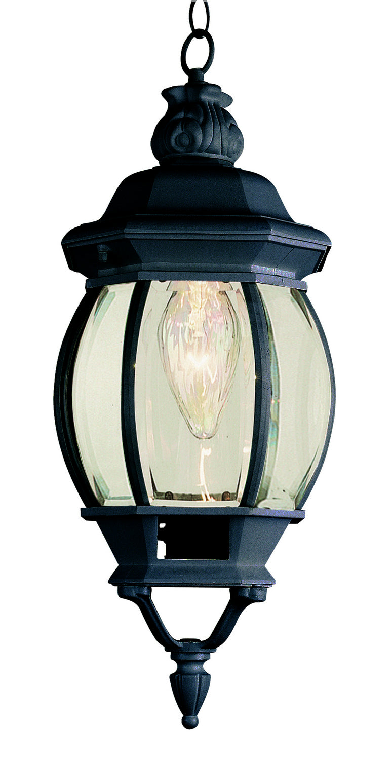 Trans Globe Imports 4065 BK Parsons One Light Hanging Lantern Outdoor Black