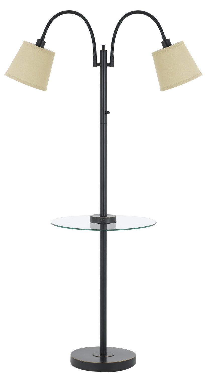 Cal Lighting BO-2444GT-DB  Two Light Floor Lamp Lamp Bronze / Dark