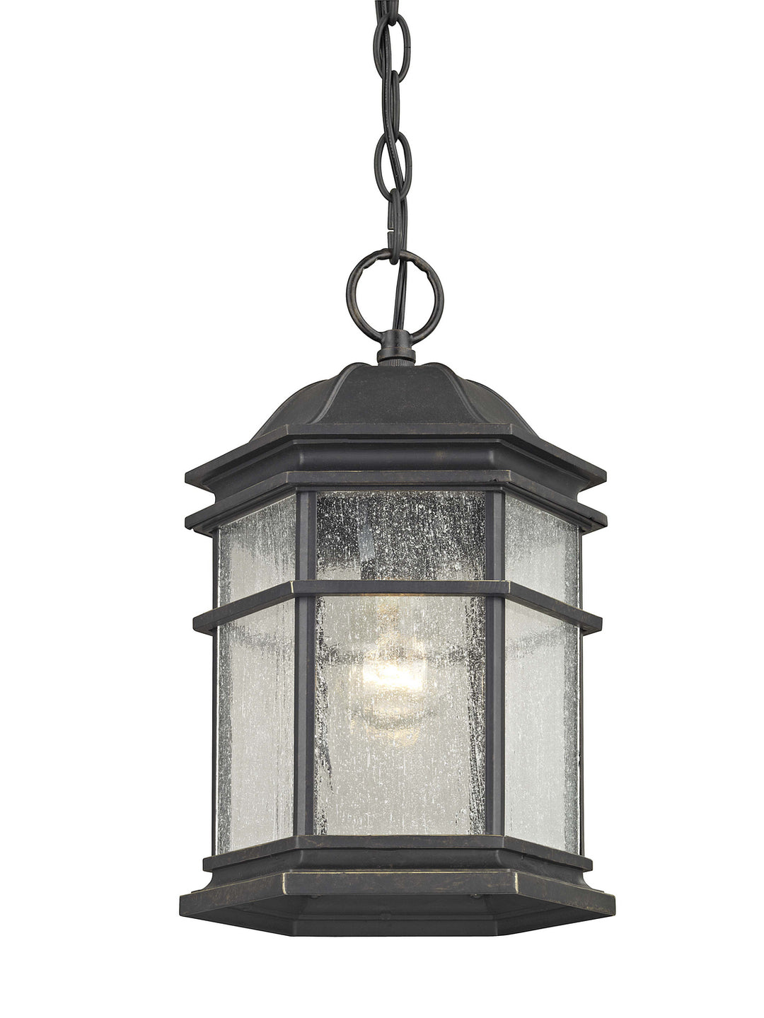 Dolan Designs Lighting 9232-68 Barlow One Light Outdoor Hanging Lantern Outdoor Bronze / Dark