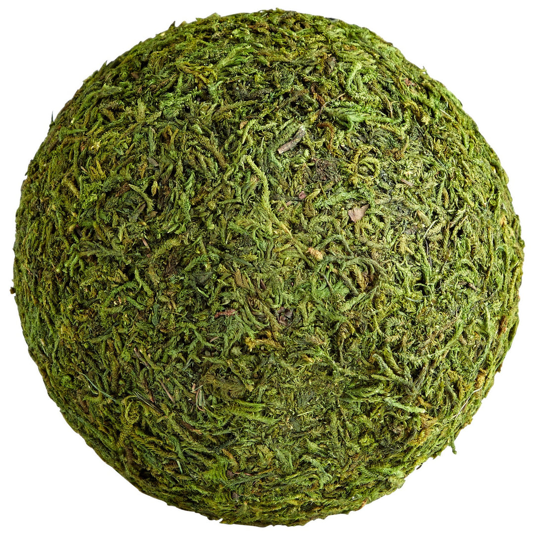 Cyan Design 07299  Bermuda Home Decor Green Moss