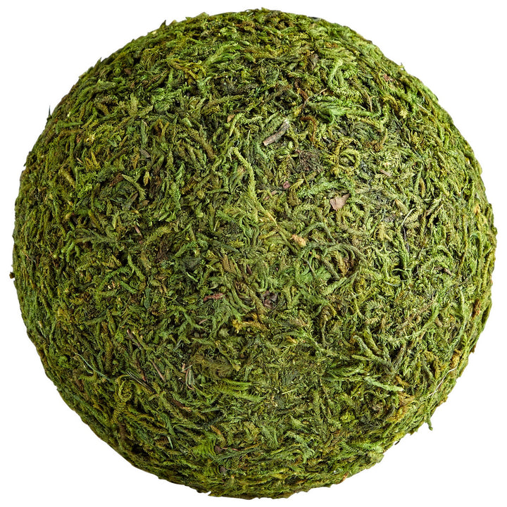 Cyan Design 07299  Bermuda Home Decor Green Moss
