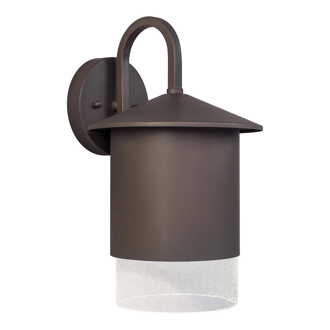 Forte Lighting 1154-01-32DS  One Light Outdoor Lantern Outdoor Bronze / Dark