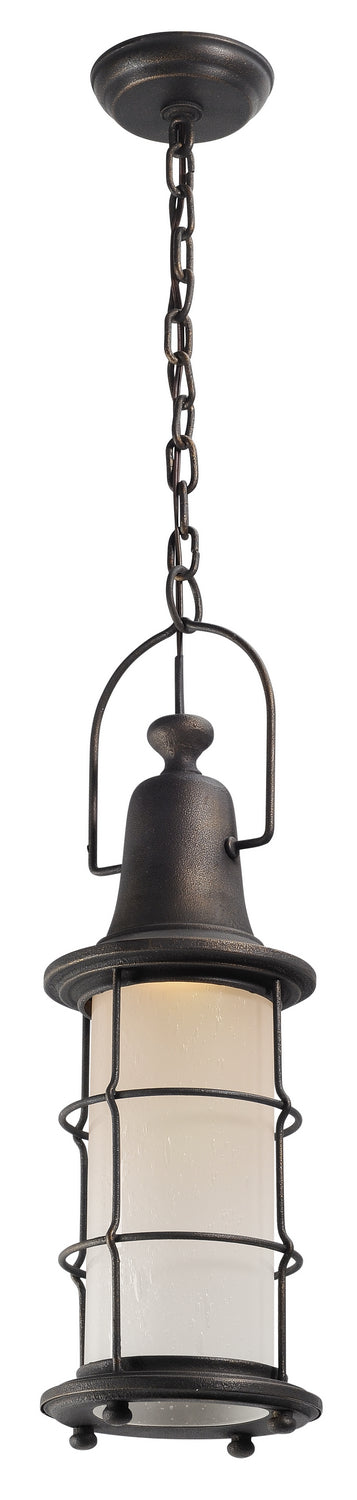 Troy Lighting F4447 Maritime One Light Hanging Lantern Outdoor Bronze / Dark