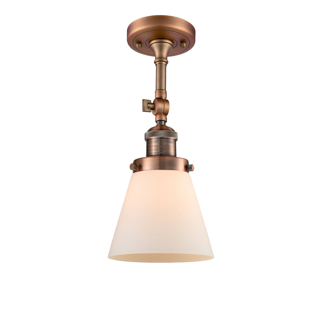 Innovations Franklin Restoration 201F-AC-G61 Ceiling Light - Antique Copper